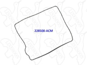 228500-ACM